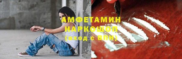 крисы Алзамай