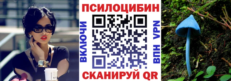 как найти   Петропавловск-Камчатский  Псилоцибиновые грибы Psilocybine cubensis 